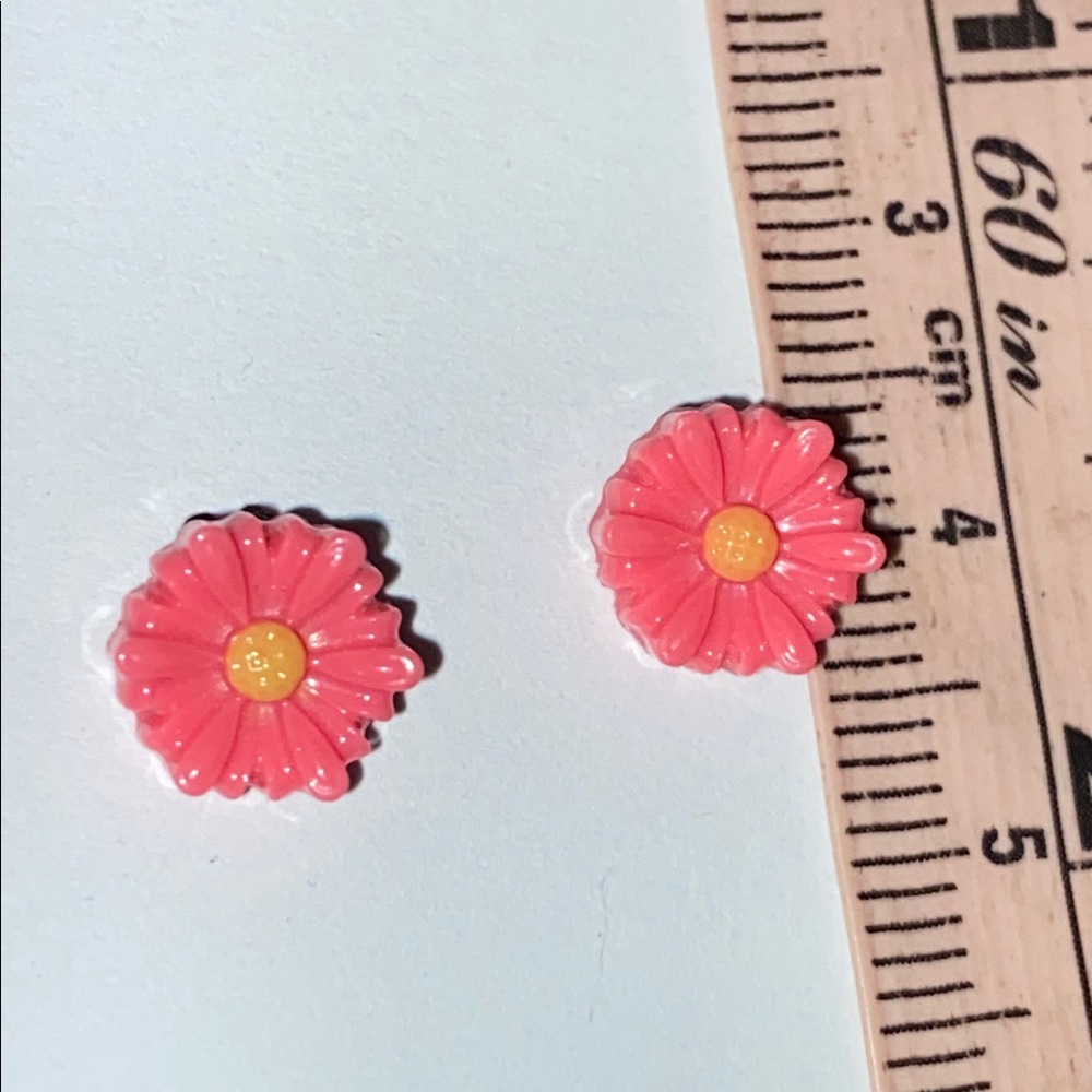 5/$10❤️❤️❤️New Acrylic Flower Stud Earrings